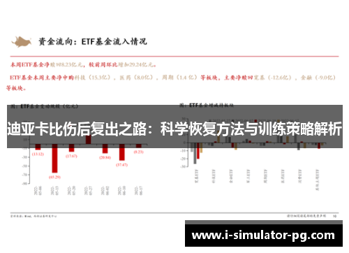 迪亚卡比伤后复出之路：科学恢复方法与训练策略解析